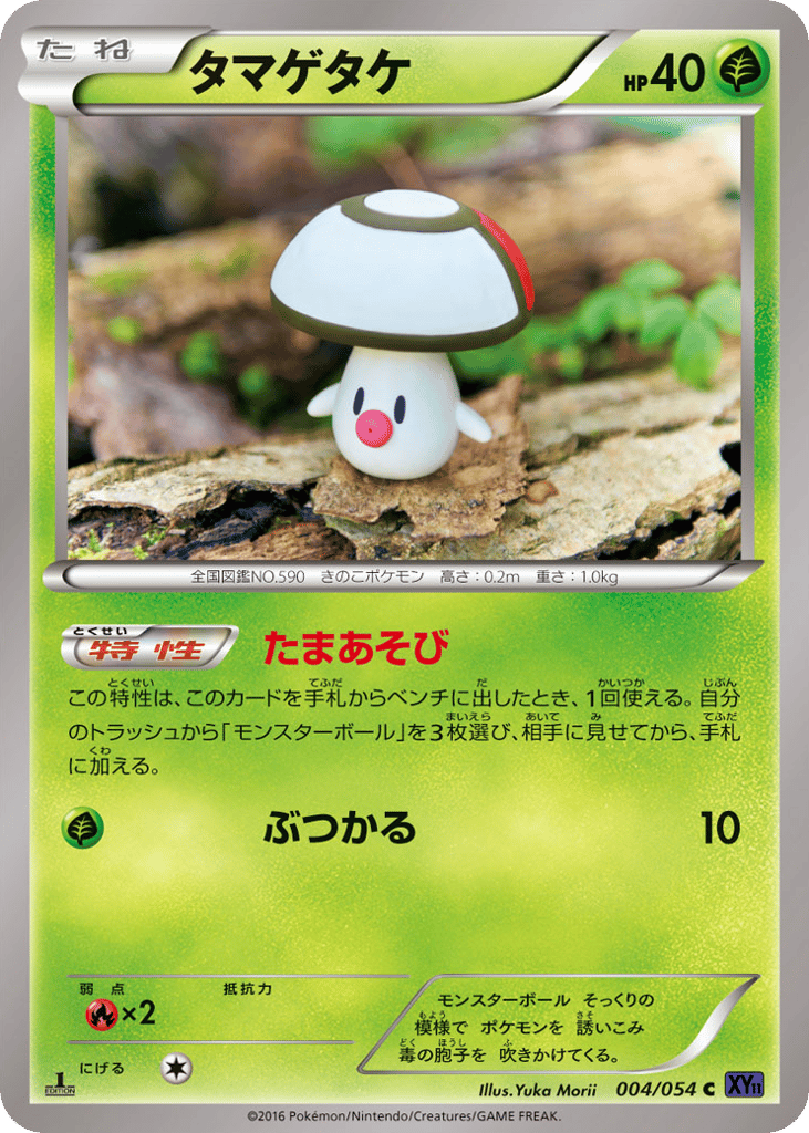 タマゲタケ card front