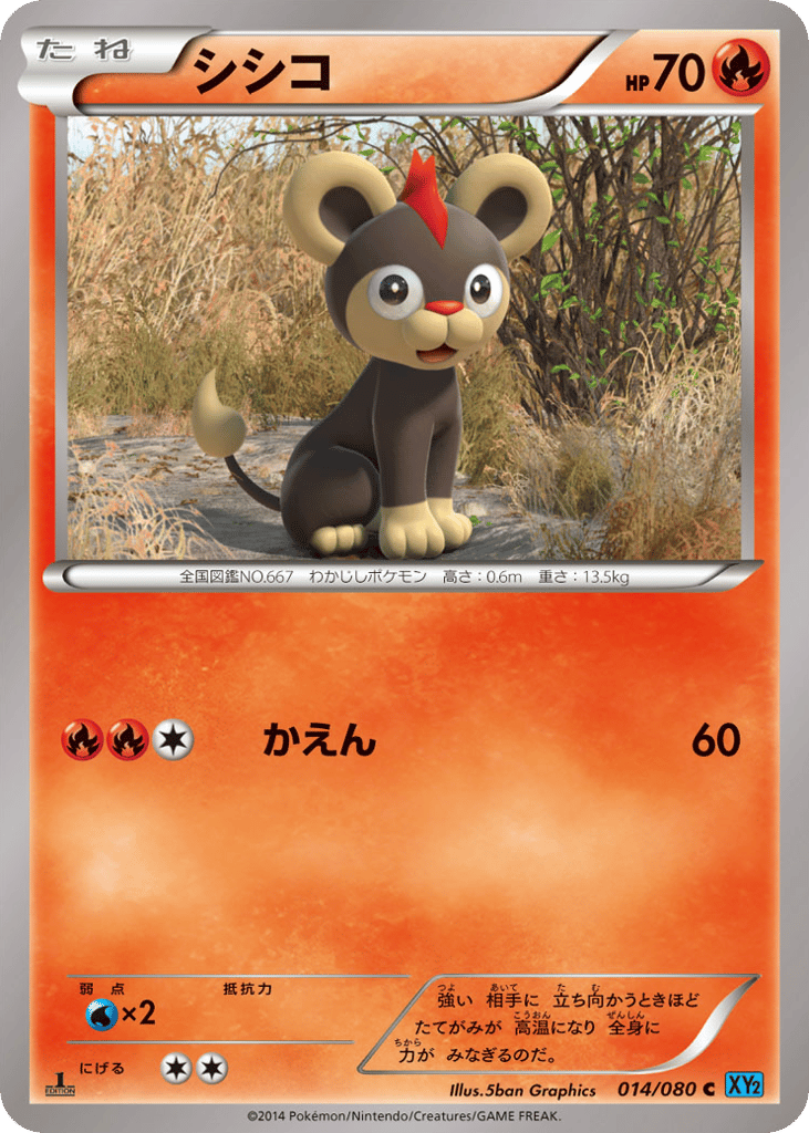 シシコ card front