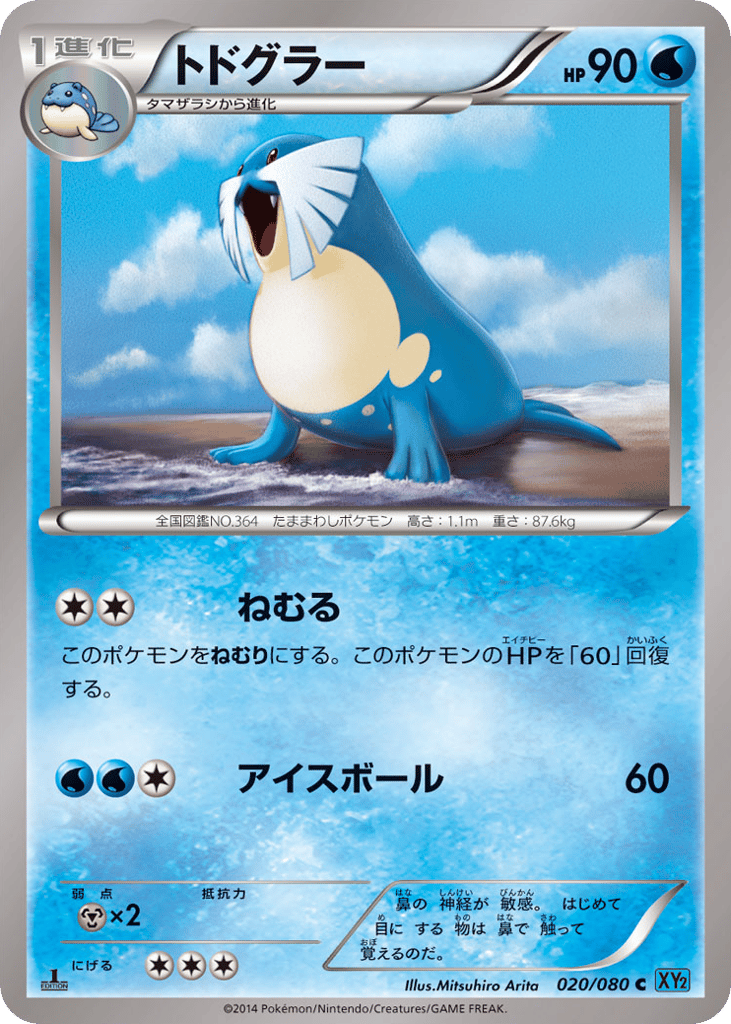 トドグラー card front