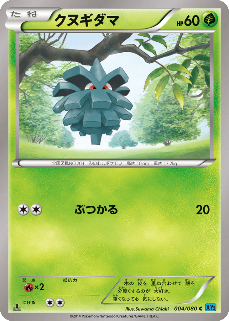 クヌギダマ card front