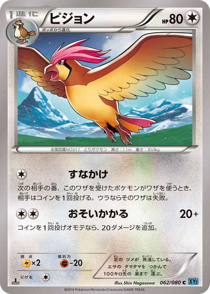 ピジョン card front