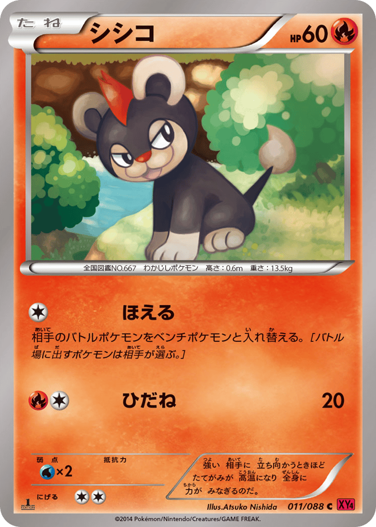 シシコ card front