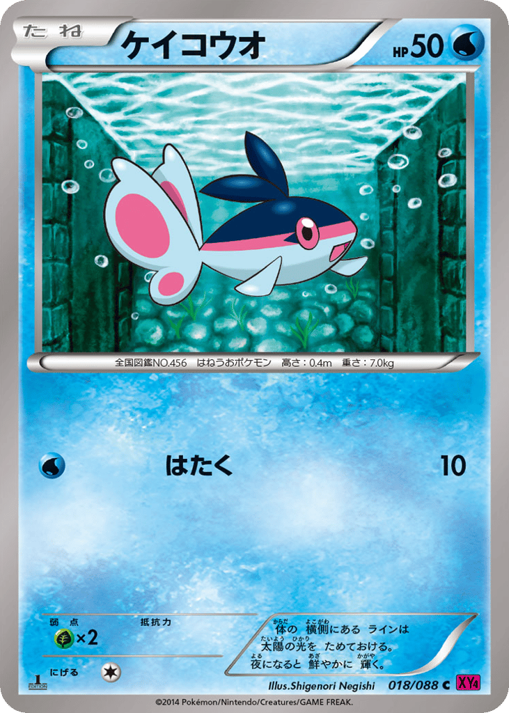ケイコウオ card front
