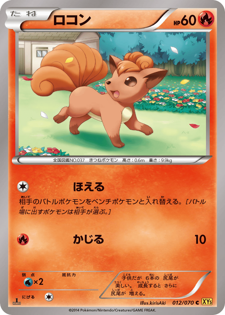 ロコン card front
