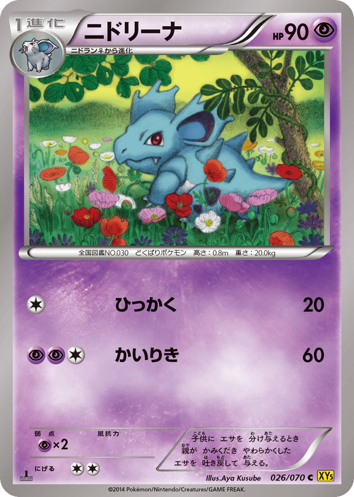 ニドリーナ card front