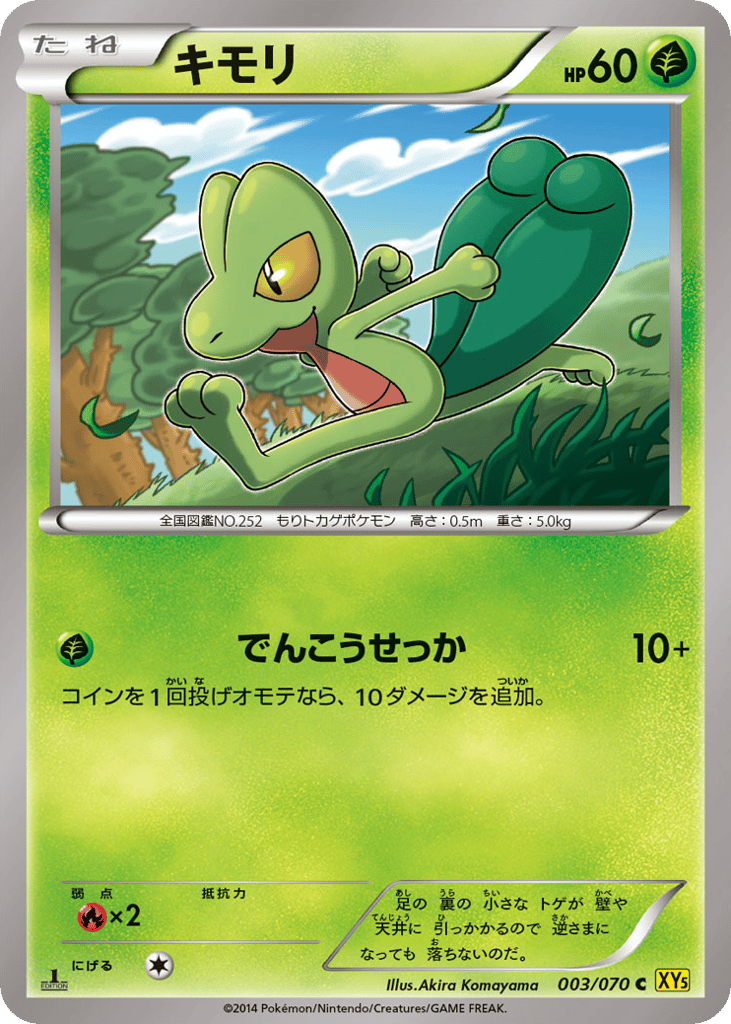 キモリ card front