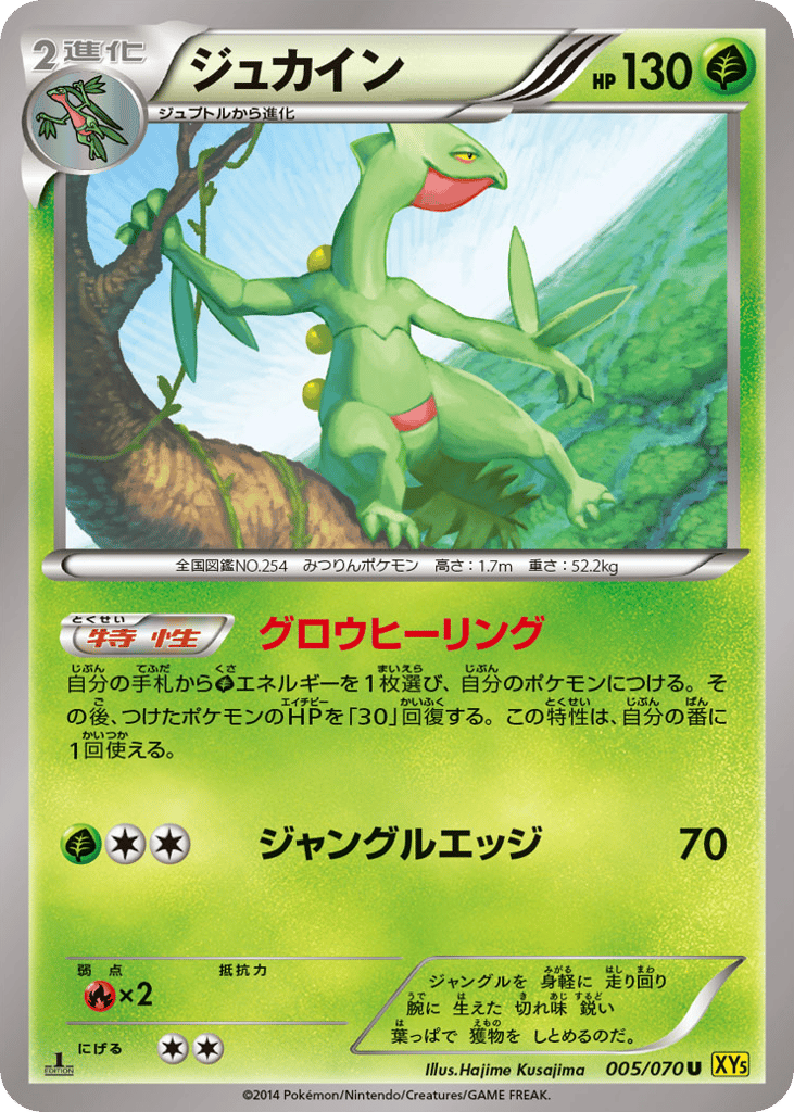 ジュカイン card front