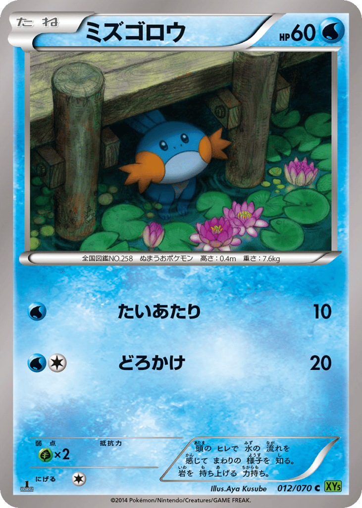 ミズゴロウ card front