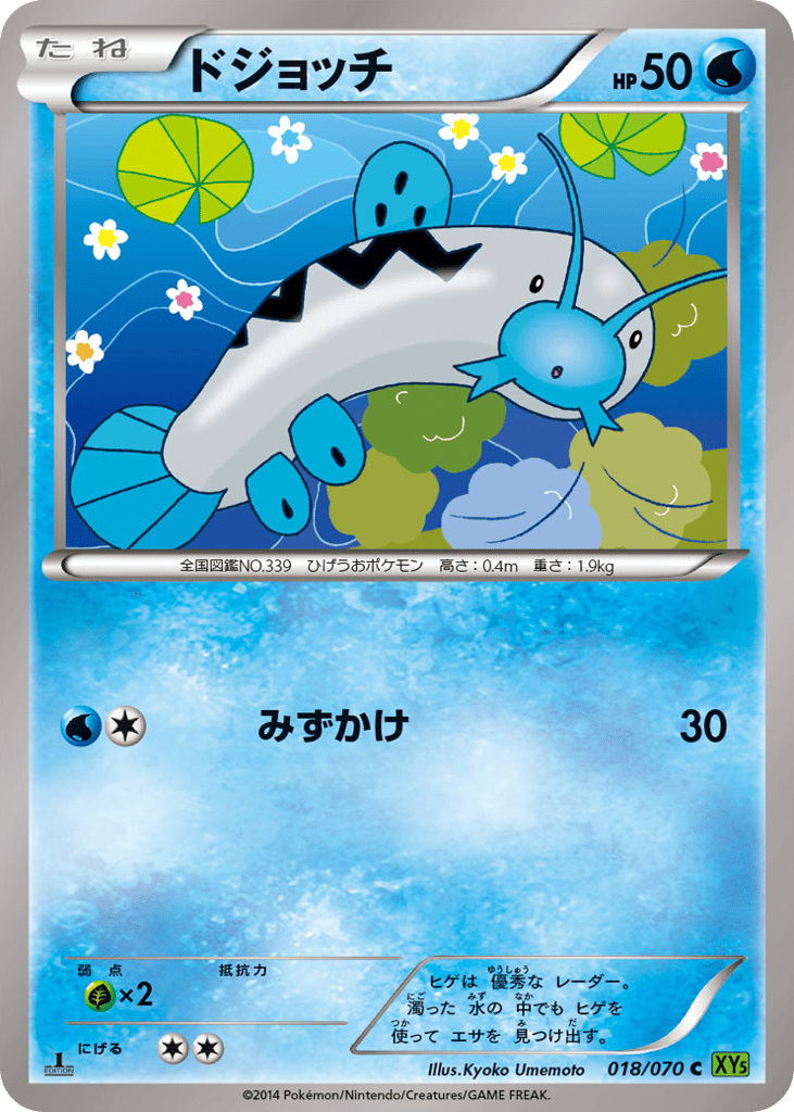 ドジョッチ card front