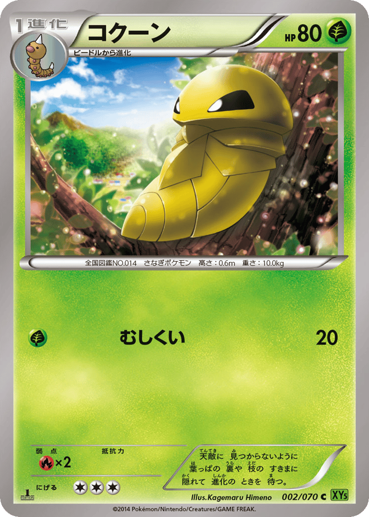 コクーン card front