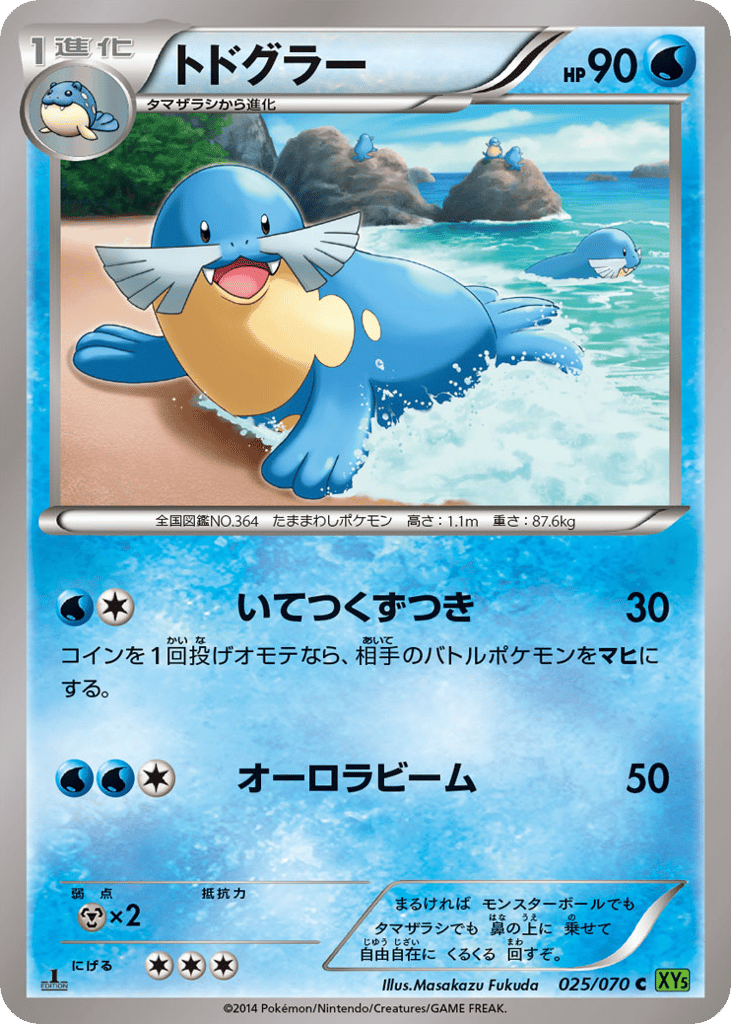 トドグラー card front