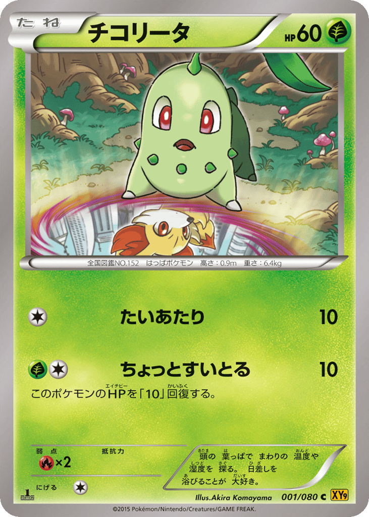 チコリータ card front