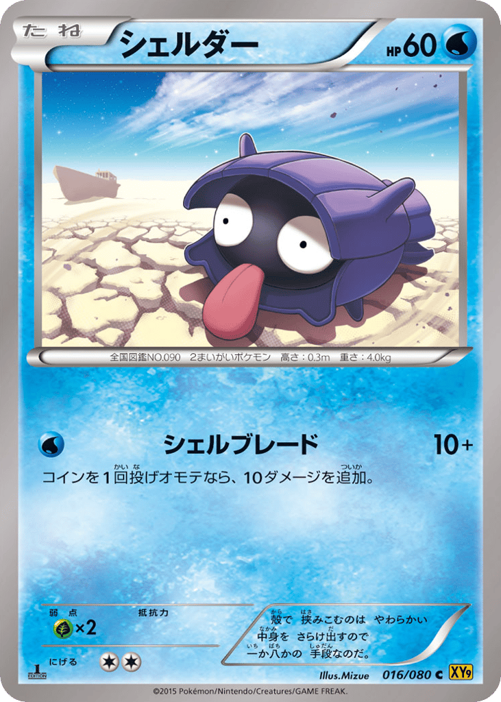シェルダー card front