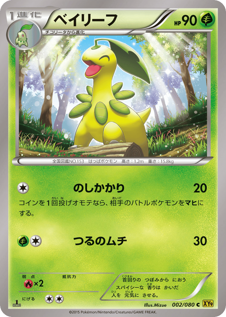 ベイリーフ card front