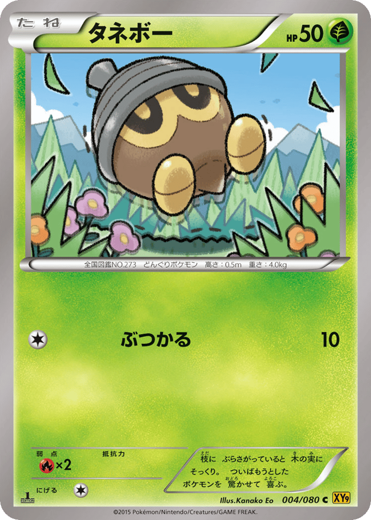 タネボー card front