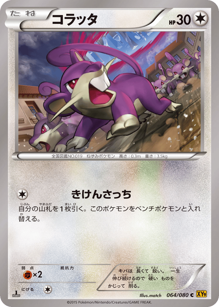 コラッタ card front