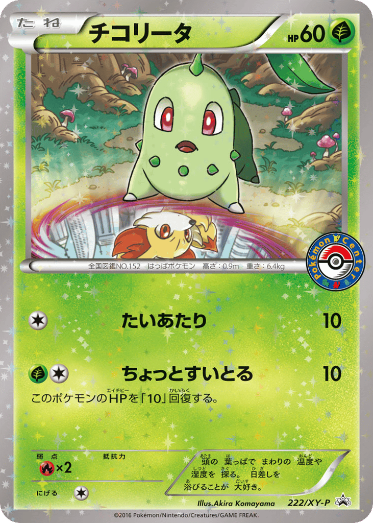チコリータ card front