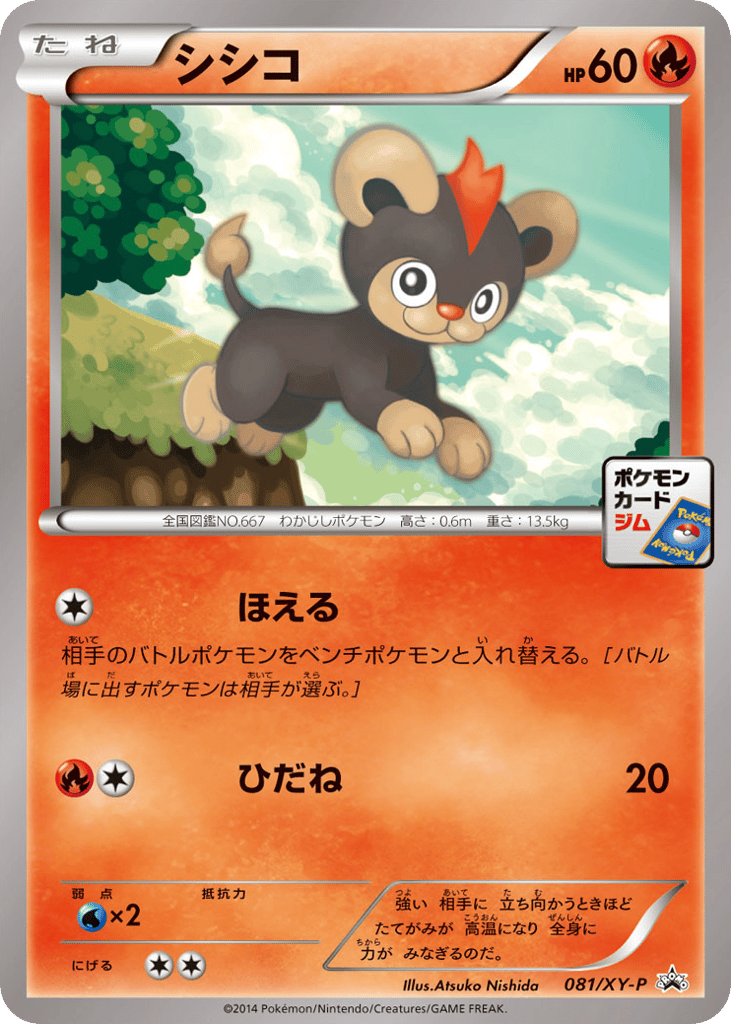 シシコ card front